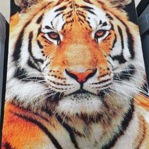 Betul Siberian Tiger 160x230cm 21120-090 0591