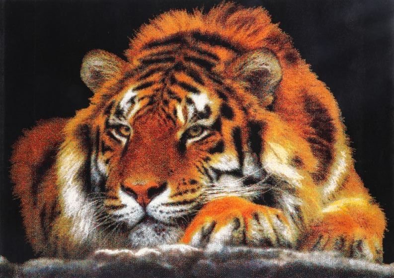 Iconic Siberian Tiger 160x230cm 15812-91 0700