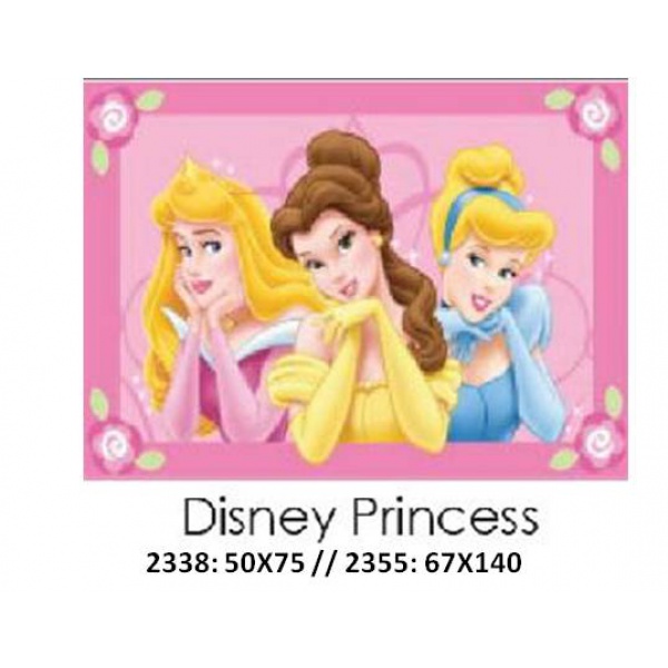 Princess Disney Kids Mat 50x75cm 2338
